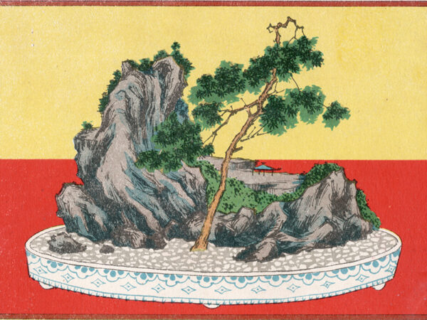 Master Xu's Rou Gui (Tian Xin Yan) 肉桂 2023
